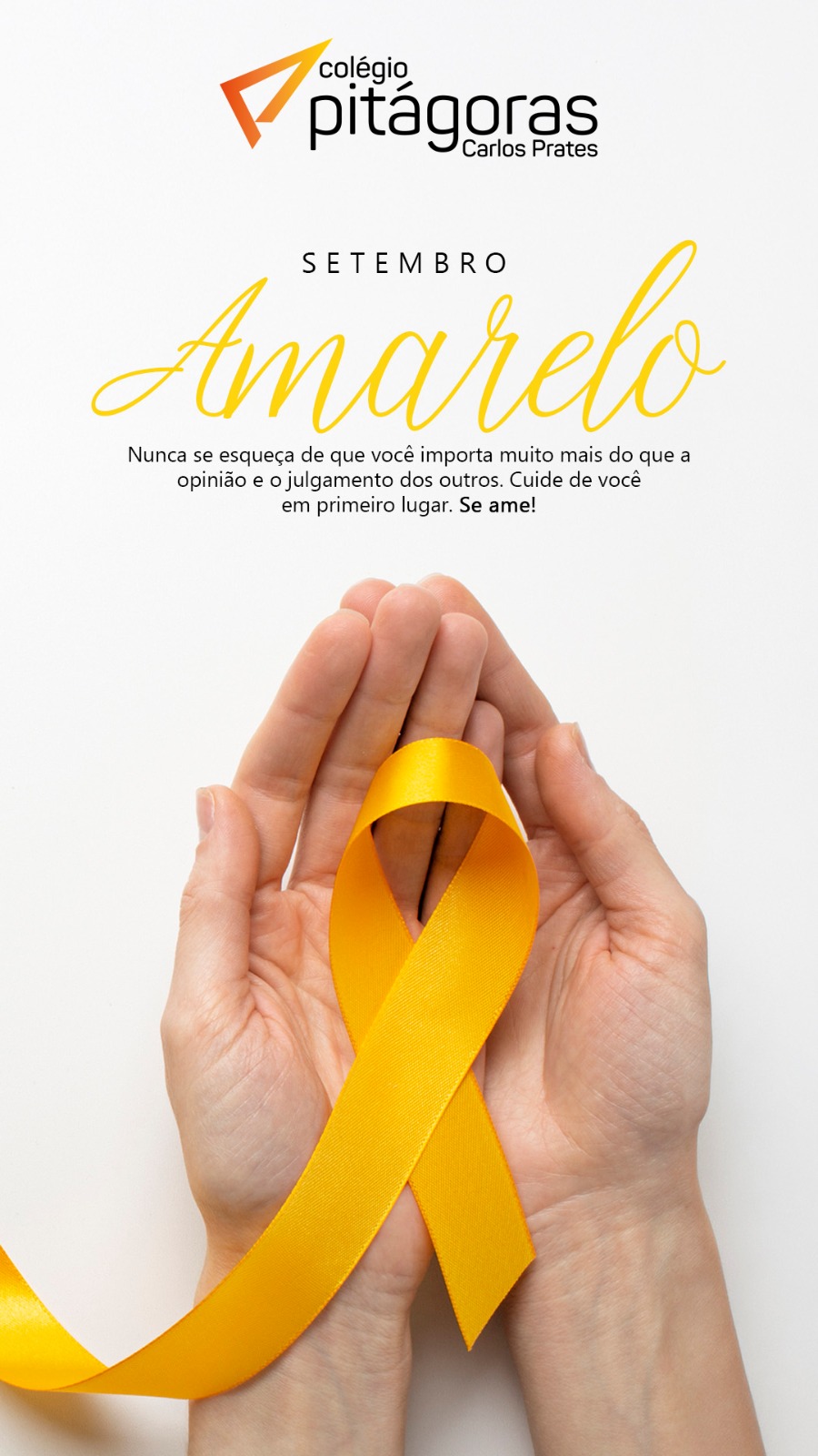 Banner 1