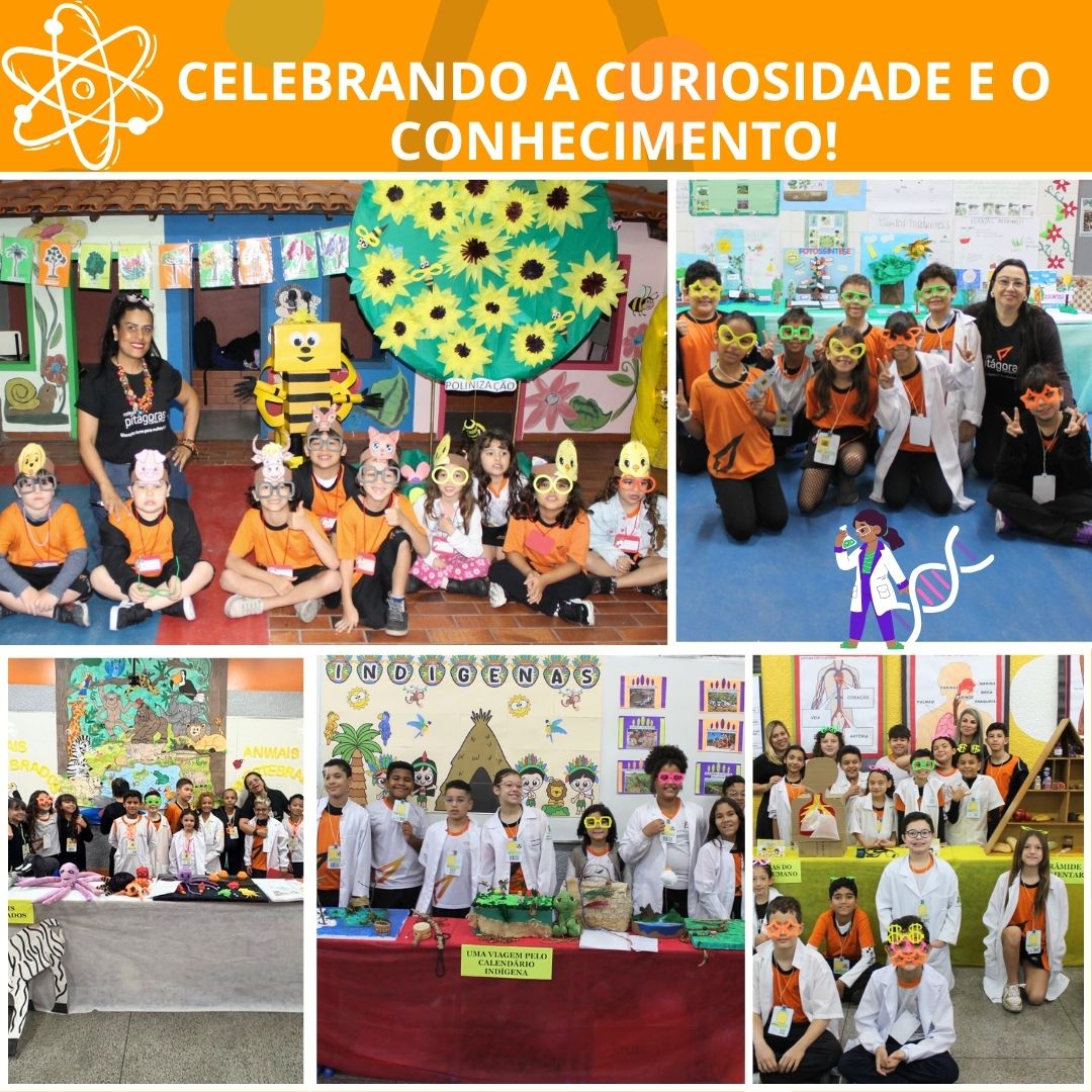 Imagem Feira de Ciências  Ensino Fundamental 2025